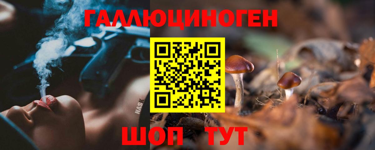 Псилоцибиновые грибы GOLDEN TEACHER  Вход с VPN  Энгельс 